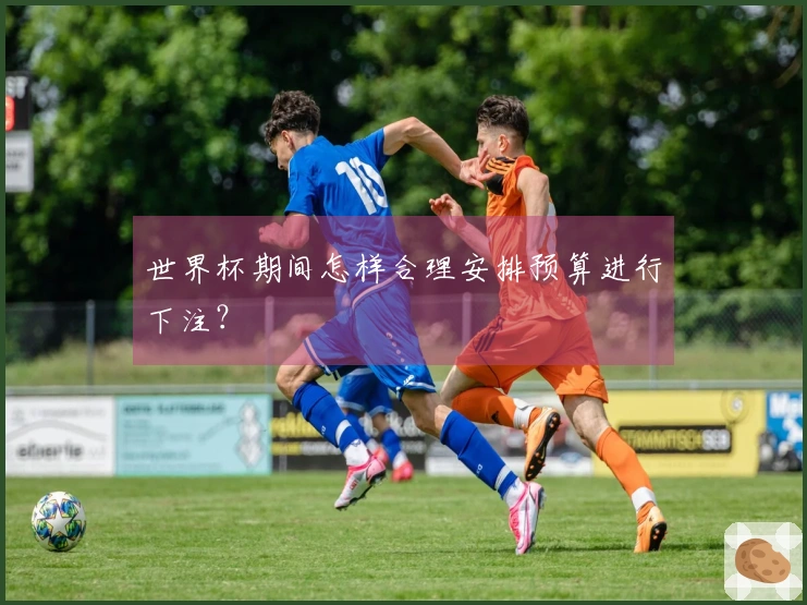 世界杯期间怎样合理安排预算进行下注？