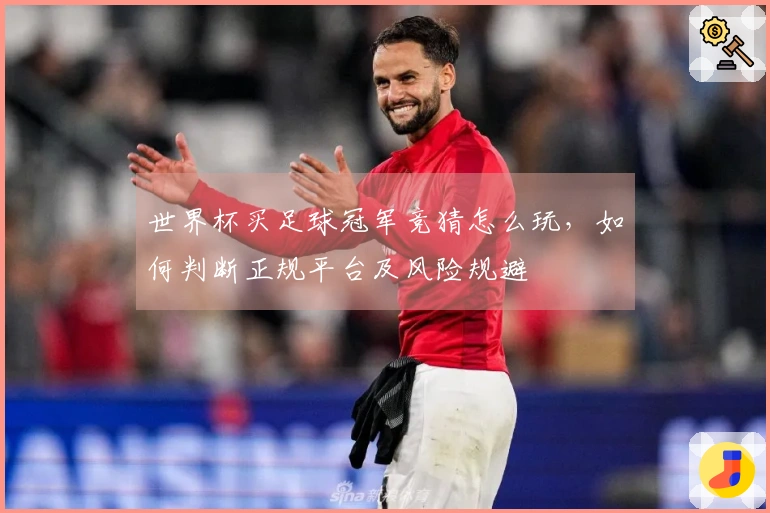 世界杯买足球冠军竞猜怎么玩，如何判断正规平台及风险规避