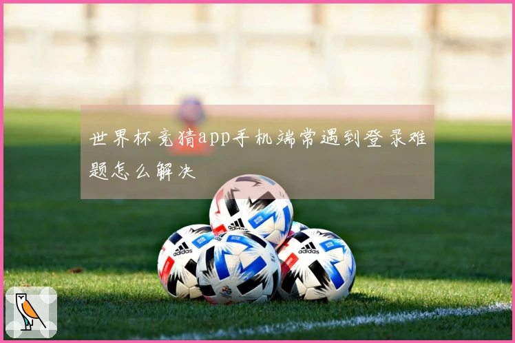 世界杯竞猜app手机端常遇到登录难题怎么解决